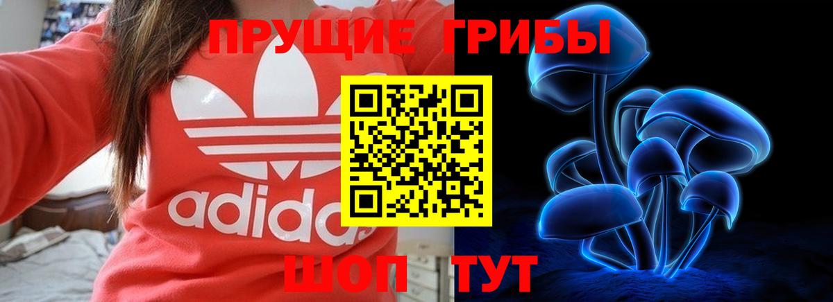 Псилоцибиновые грибы Magic Shrooms Горно-Алтайск